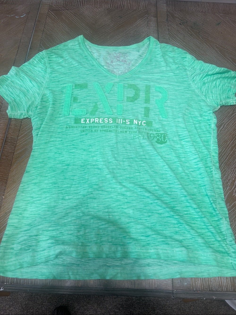 Express Mint Green Heathered V-Neck Tee